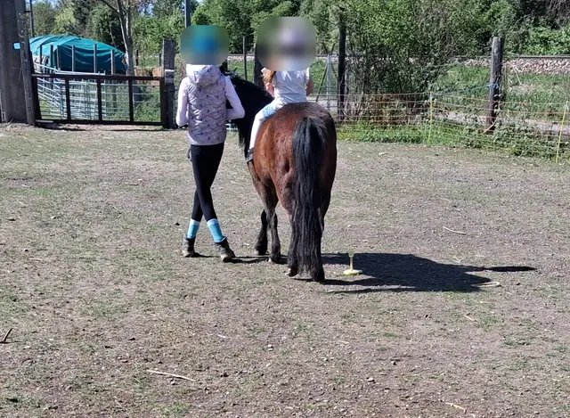 Auf der Koppel führt eine Betreuerin ein braunes Pony, im Sattel sitzt ein Kind mit Helm